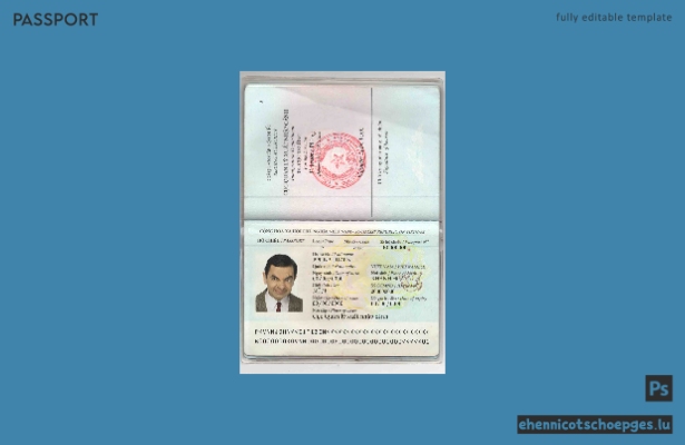 Beispiel für einen vietnamesischen Reisepass (Vorschau)